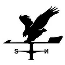   ƥ쥹 Ĥä KZSS- ʵAס