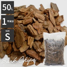 ѥСå 50åȥ ӥ 1 ʣʿʬ