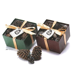 ���顼������ �ʾ��ܤä���� Ȣ���� S30991 ��ȥ� �ť��ȡ��� ���������꡼