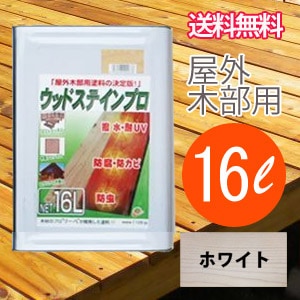 ں ݸ åɥƥץ 16L ۥ磻 ڥåɥǥå å ں  ˡ