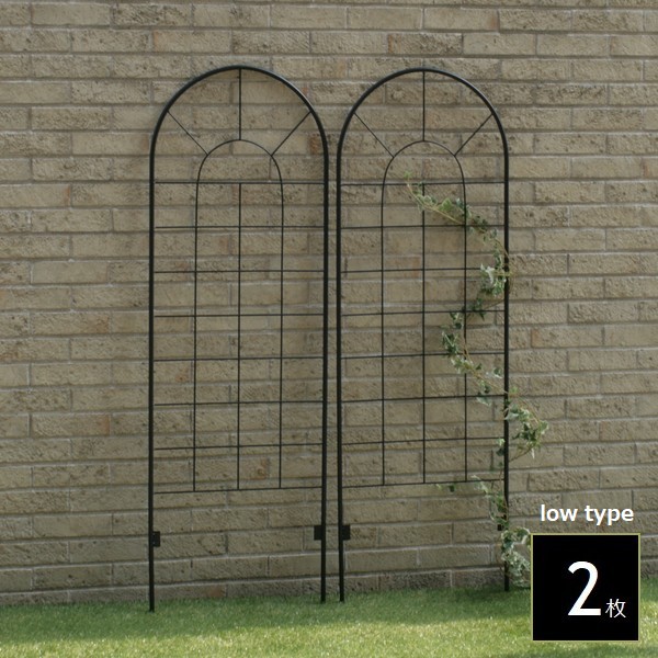 ��������ե��� ���������� 2���� YBIF-120-2P ���饷�å��ե��� ���̳�ƻ��3000��