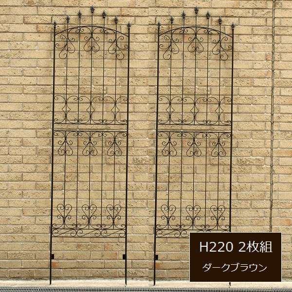 ե ֥饦 2 ե220 IFROSE-220-2P ̳ƻ3000