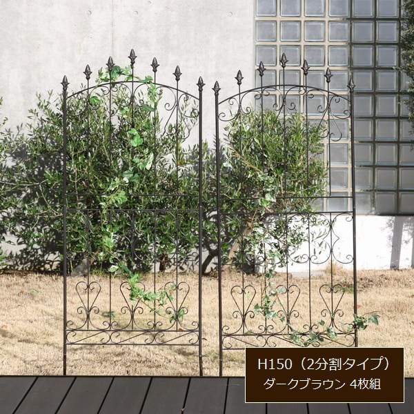 ��������ե��� ���������� 4���� �������֥饦�� ��������������ե���150 RS012L-4P-DBR ���̳�ƻ��3000��