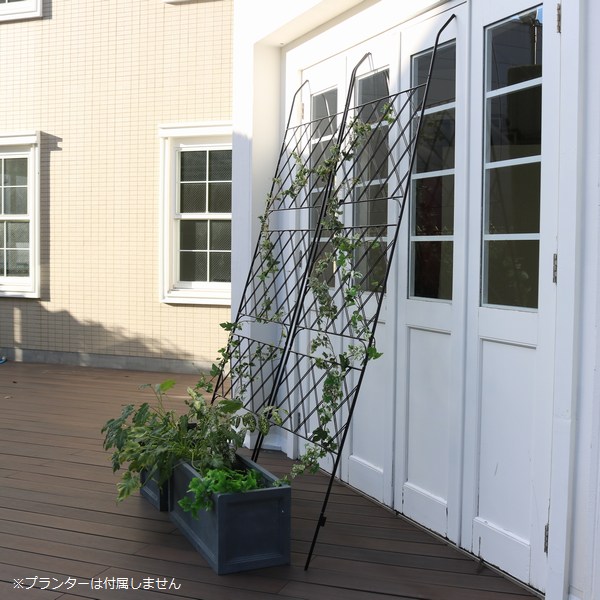 ꡼ե ֥å 80cm 2   IFGC011-2P-BLK ̳ƻ3000