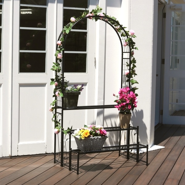 �������եե���å� (IA-FR002BLK) ���̳�ƻ��3000��