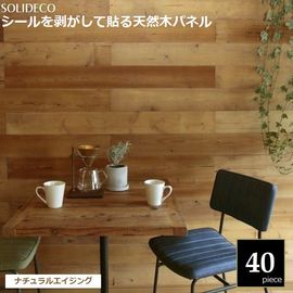 �ɺ� ŷ���ڥѥͥ� �ʥ����륨������ 40���ȡ���6ʿ��) SOLIDECO SLDC-40P-002AGE  ���̳�ƻ��1500��