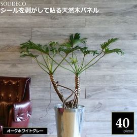 �ɺ� ŷ���ڥѥͥ� �������ۥ磻�ȥ��졼 40���ȡ���6ʿ��) SOLIDECO SLDCPR-40P-006GRY  ���̳�ƻ��1500��