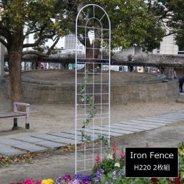 ե ϥ 2 ۥ磻 YB016H-2P-WHT 饷åե220  ̳ƻ3000