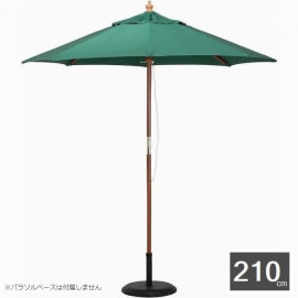 ǥѥ饽 ѥ饽II 210cm ꡼ 210GR 38696 ʥ١°ޤ ̳ƻ+1200