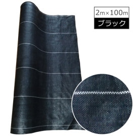 ���𥷡��� ������BK������ �ʹ��� 2��100m �����ɻ� ���̳�ƻ�����졦Υ���������Ӹ���