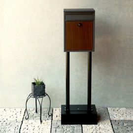 ������ɥݥ��� Shannon ����Υ� ���������졼 SDM-060 �̳�ƻ+1500��