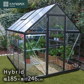  ѥ ϥ֥å 68 졼 185߱246cm ꡼ϥ Palram Canopia ̳ƻ+3000 졦ΥӸ