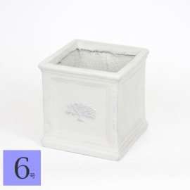 ����ȭ ������ ���������ݥå� �ե��쥹��6�� �ۥ磻�� (3744) ��22cm �⤵22cm ���̳�ƻ�����졦Υ�������Բ�