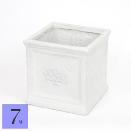 ����ȭ ������ ���������ݥå� �ե��쥹��7�� �ۥ磻�� (3741) ��27cm �⤵27cm ���̳�ƻ�����졦Υ�������Բ�