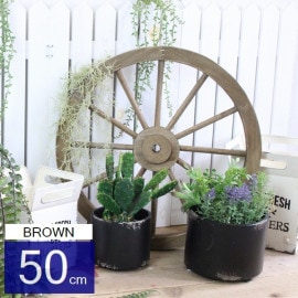 �����ǥ󻨲� �����ʥ��� ���åɥۥ�����L ľ��50cm �֥饦�� (6322) ���̳�ƻ�����졦Υ�������Բ�