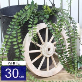 �����ǥ󻨲� �����ʥ��� ���åɥۥ�����S ľ��30cm �ۥ磻�� (6323) ���̳�ƻ�����졦Υ�������Բ�