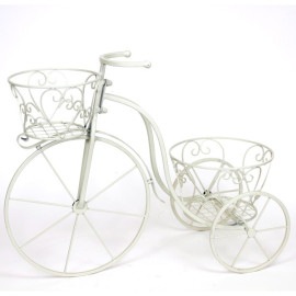 �ץ�󥿡� ���ؼַ� ��������ץ�󥿡� �ȥ饤�����륯�꡼�� (6359) ���̳�ƻ�����졦Υ�������Բ�