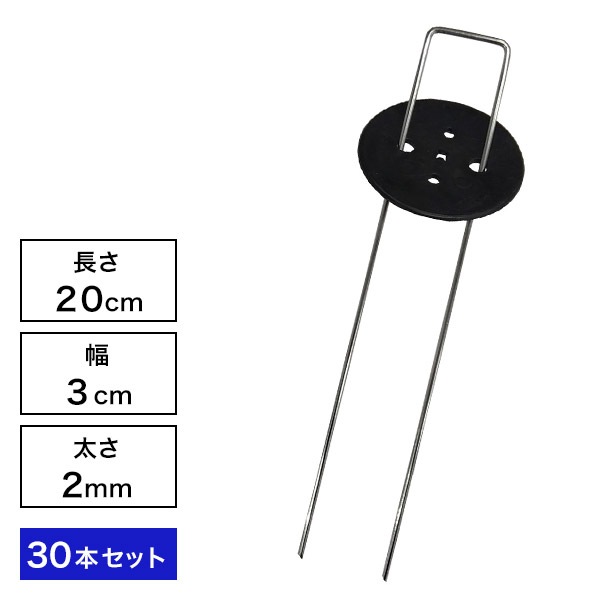 ȸԥ󥻥å30ܥå ʲå㡼ա