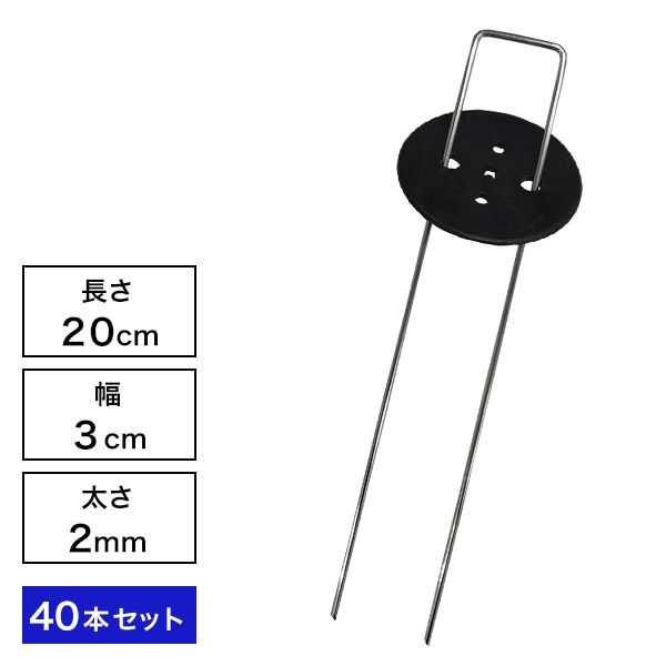 ȸԥ󥻥å40ܥå ʲå㡼ա