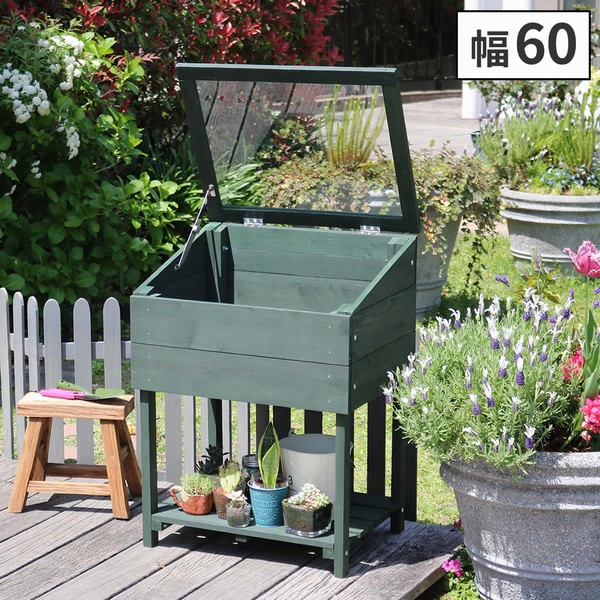植物用ラック 木製 窓付 ミニグリーンハウス 温室 「OWN」（オウン
