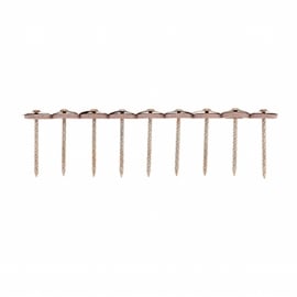 Ļܹ ڲ ƥ쥹Ϣ뻱ţʥ֥󥺡 #1438950Ϣ (443800G) 졦Ŀ350