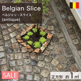 ���� �о� �ڥ��ӥ󥰥��ȡ��� �٥륮���� ����ƥ����� �٥른��󡦥��饤�� ������ ��1ʿ�� (75.0kg) ����-�ٲ���������