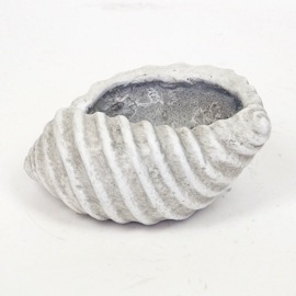 ����ȭ ���󥯥�����ݥå� (3129) ������ ���̳�ƻ�����졦Υ�������Բ�