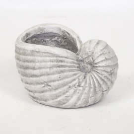 ����ȭ �����६���ݥå� (3104) ���� ���̳�ƻ�����졦Υ�������Բ�