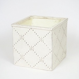 ����ȭ ������ �� ���������ݥå� �ե롼�� (3501) ���̳�ƻ�����졦Υ�������Բ�