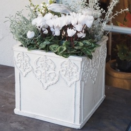 ����ȭ ������ �� ���������ݥå� ����ƥ� (3503) ���̳�ƻ�����졦Υ�������Բ�