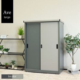 ʪ�� �������� �顼�� (���졼�ȥ��졼/�ѡ��륰�졼) SED-006 ���̳�ƻ+4850��