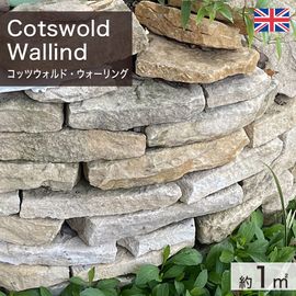  ꥹ ŷ åĥɡ ʿʬ (400kg) -ٲ