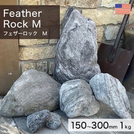  ꥫ ŷ եå M 1kg -ٲ