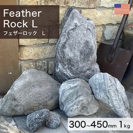  ꥫ ŷ եå L 1kg -ٲ