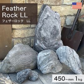  ꥫ ŷ եå LL 1kg -ٲ