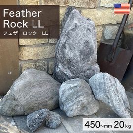  ꥫ ŷ եå LL 20kg -ٲ