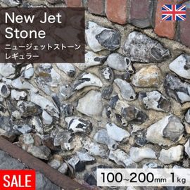 ���� ���å��꡼ �����ꥹ�� ŷ���� �˥塼�����åȥ��ȡ��� �쥮��顼 (4��7kg/��) �������kg������β��ʤǤ� ����-�ٲ�������������