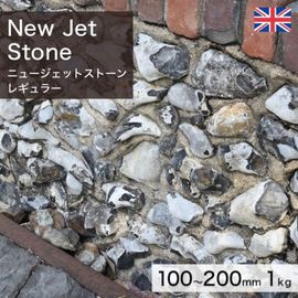 ���� ���å��꡼ �����ꥹ�� ŷ���� �˥塼�����åȥ��ȡ��� �쥮��顼 (4��7kg/��) �������kg������β��ʤǤ� ����-�ٲ�������������