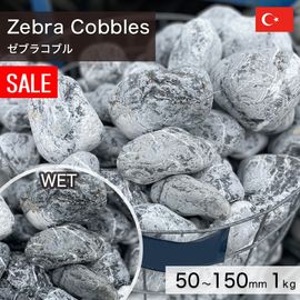 ���� ���� ���� �ȥ륳�� ŷ���� ���֥饳�֥� 50��150mm (1��4kg/��) �������kg������β��ʤǤ� ����-�ٲ�������������