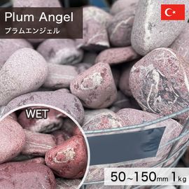 積石 アメリカ産 天然石 フェザーロック M 150～300mm (2～4kg/個