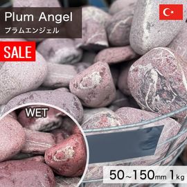 ���� ���� ���� �ȥ륳�� ŷ���� �ץ�२�󥸥��� 50��150mm (1��4kg/��) �������kg������β��ʤǤ� ����-�ٲ�������������