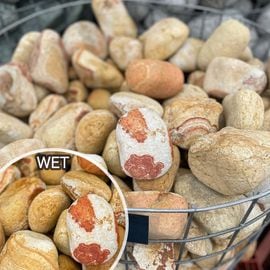 ���� ���� ���� �ȥ륳�� ŷ���� �쥤��ܡ����֥� ��50��150mm�� 1kg ����-�ٲ�������������