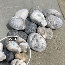 ���� ���� ���� �ե�󥹻� ŷ���� �ɡ��С����֥� ��40��80mm�ˡ�SS 1kg ����-�ٲ�������������