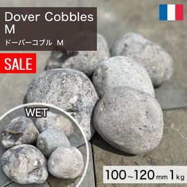 積石 アメリカ産 天然石 フェザーロック L 300～450mm (4～6kg/個