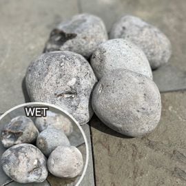 ���� ���� ���� �ե�󥹻� ŷ���� �ɡ��С����֥� ��100��120mm�� M 1kg ����-�ٲ�������������