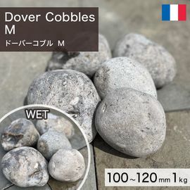 積石 アメリカ産 天然石 フェザーロック M 150～300mm (2～4kg/個