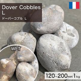 ���� ���� ���� �ե�󥹻� ŷ���� �ɡ��С����֥� L 120��200mm (1.5��2kg/��) �������kg������β��ʤǤ� ����-�ٲ�������������