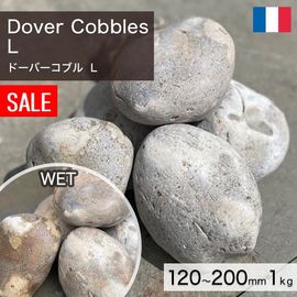 ���� ���� ���� �ե�󥹻� ŷ���� �ɡ��С����֥� L 120��200mm (1.5��2kg/��) �������kg������β��ʤǤ� ����-�ٲ�������������