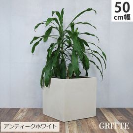 �ץ�󥿡� FRP ��Ĵ ��50cm �ѷ� ����ƥ������ۥ磻�� (E001-CU500WHT)  GRITTE ����å� ���̳�ƻ�����졦Υ�������Բ�