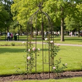 ���٥ꥹ�� �֥��� (IF-N0035BRZ) ��������ϡ��ե����� �����ǥ˥󥰻��� �Х� �����ӡ� ���̳�ƻ��3000��